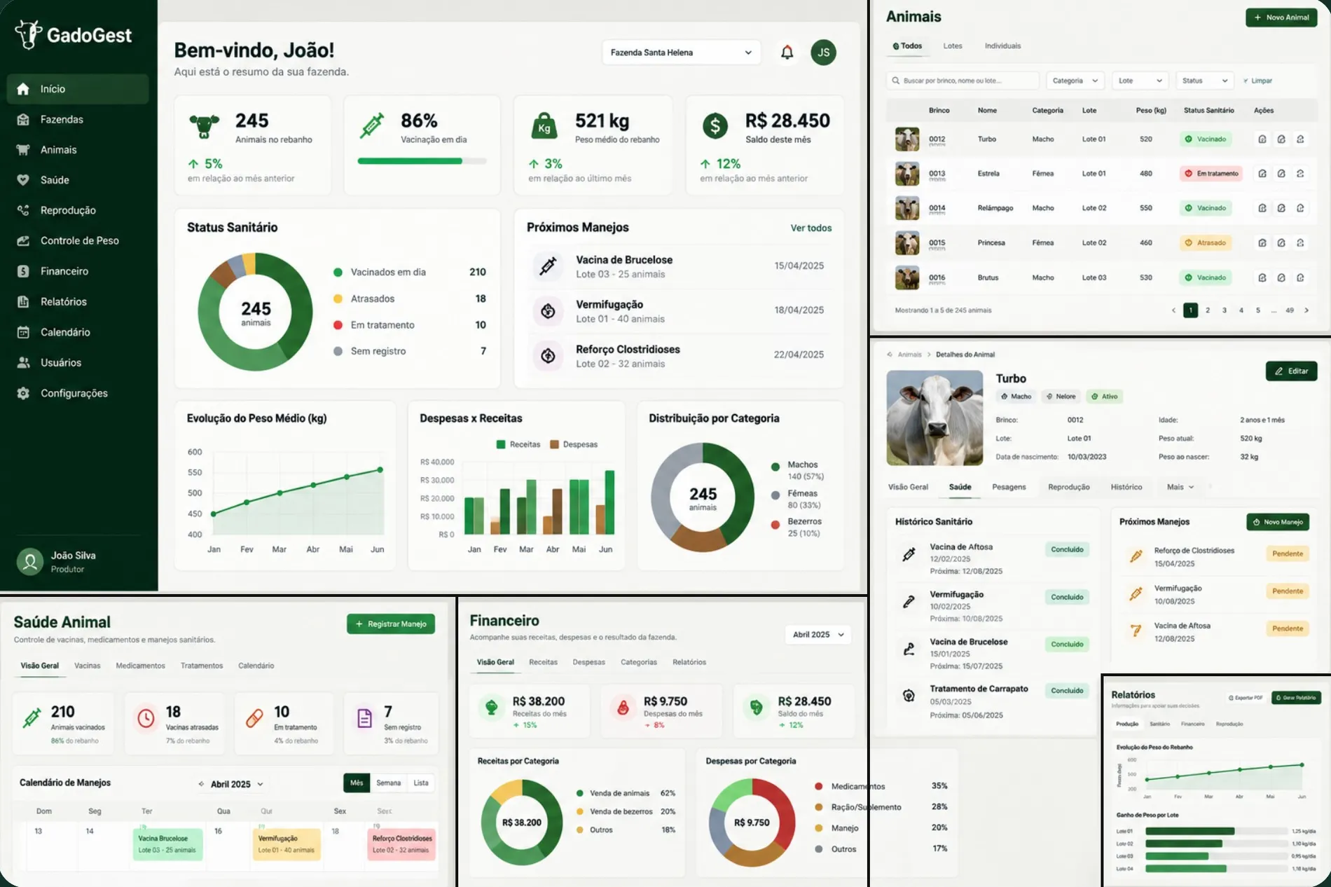 Telas do GadoGest: painel inicial, lista de animais, ficha do animal, saúde e financeiro